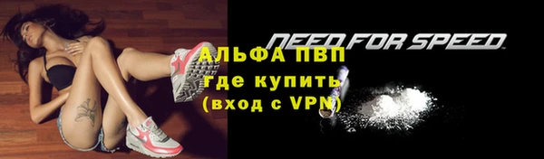 трава Балахна