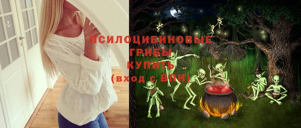 PSILOCYBIN Майский