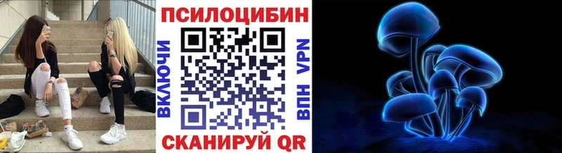 Псилоцибиновые грибы Magic Shrooms  ссылка на мегу вход  Ногинск 
